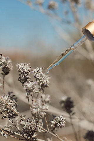 DESERT LAVENDER ESSENCE