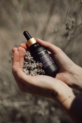 DESERT LAVENDER ESSENCE