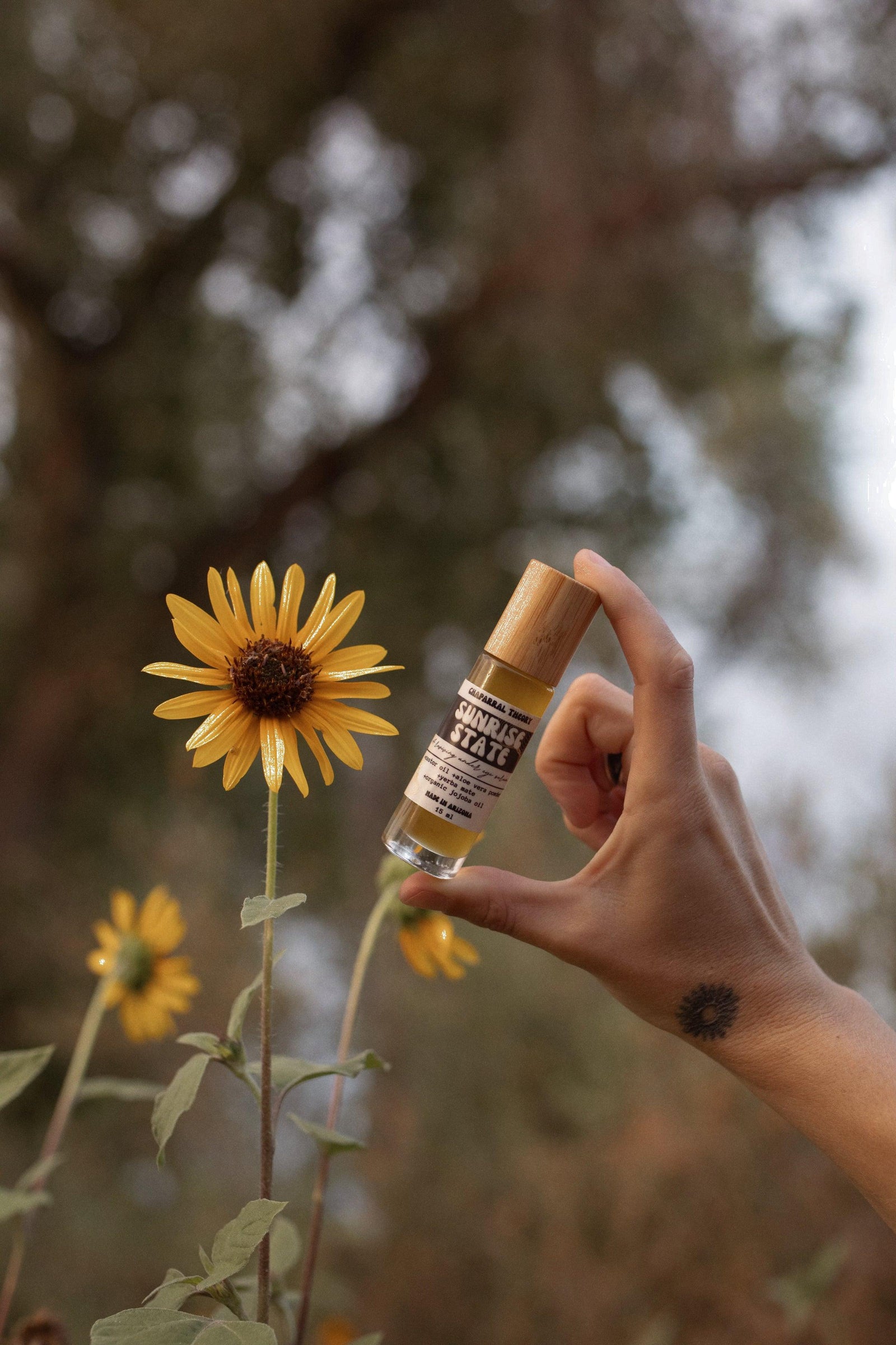 tallow skincare herbal oils- chaparral theory