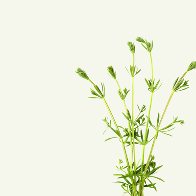 CLEAVERS