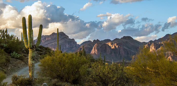 Skincare from Superstition Mountains east of Phoenix, Arizona