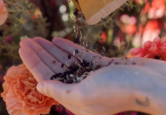 Tea for seasonal allergies