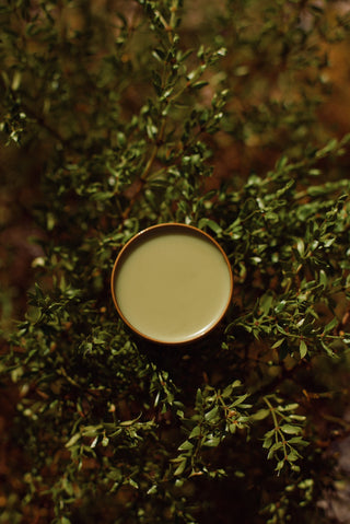 DESERT RAIN BALM | Ancestral Tallow Salve