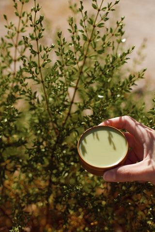 DESERT RAIN BALM | Ancestral Tallow Salve