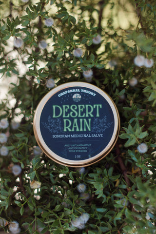 DESERT RAIN BALM | Ancestral Tallow Salve