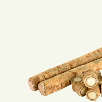 BURDOCK ROOT