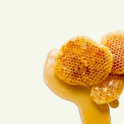HONEY POWDER