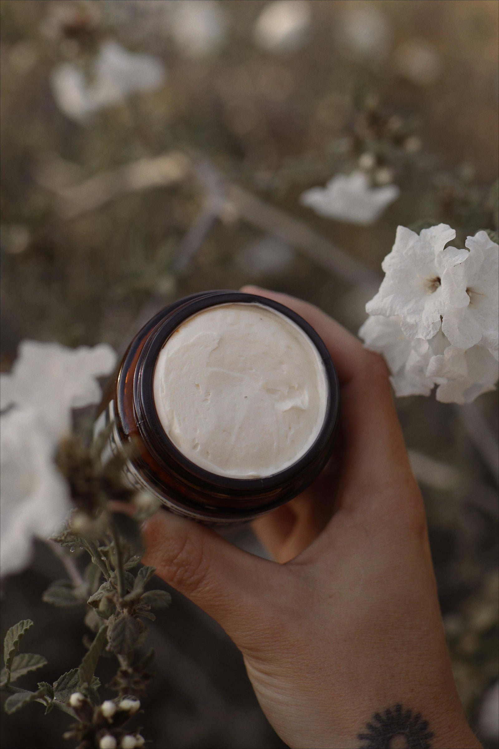 tallow skincare cream- chaparral theory