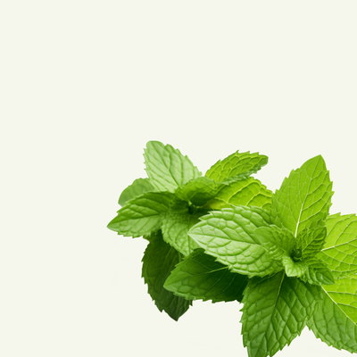 SPEARMINT